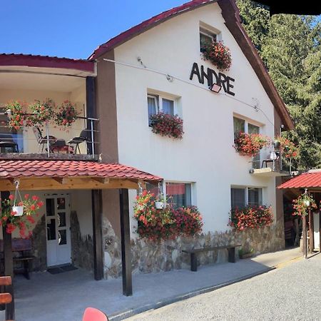 Cabana Andre Vartop Εξωτερικό φωτογραφία